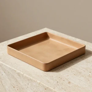 Molded Desk Valet Tray
